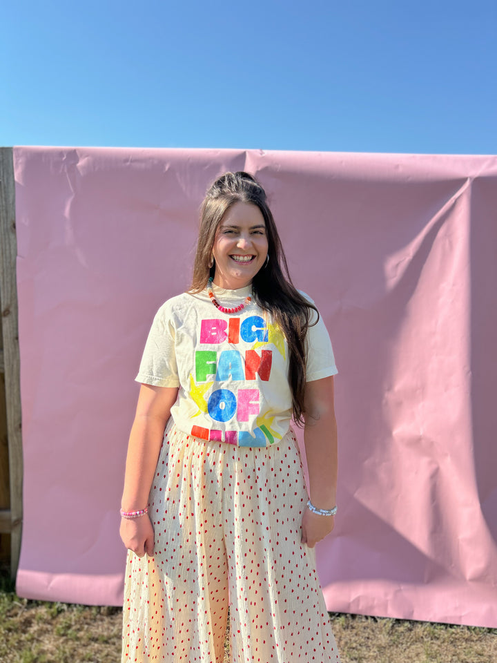 Big Fan Of Fun Graphic T-Shirt